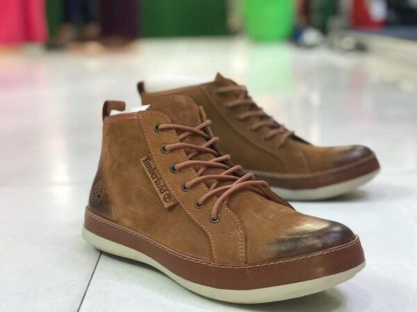 imgi 18 485742051 1216077986815191 6799592778895314362 n