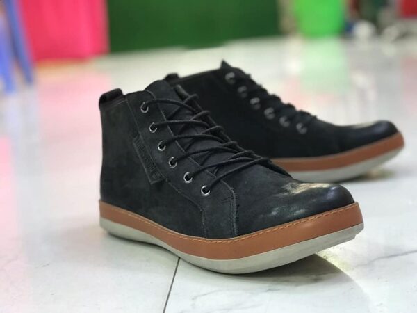 imgi 21 486124369 1216077996815190 6635091170934809377 n