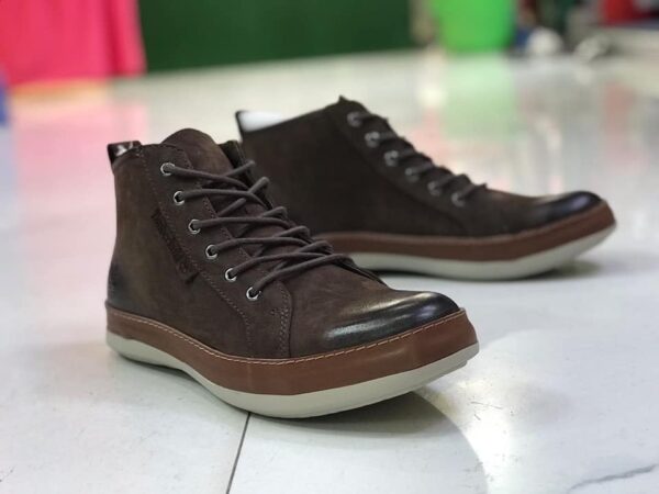 imgi 23 485362771 1216077990148524 3555673586024452195 n