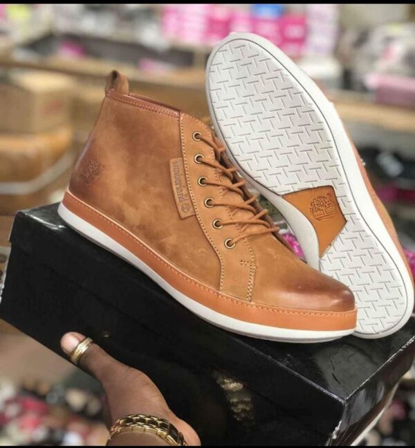 imgi 49 473569446 611655971224035 5678763277414569069 n